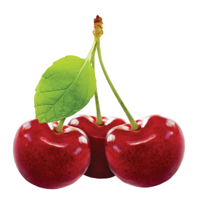 Cherry PNG Transparent