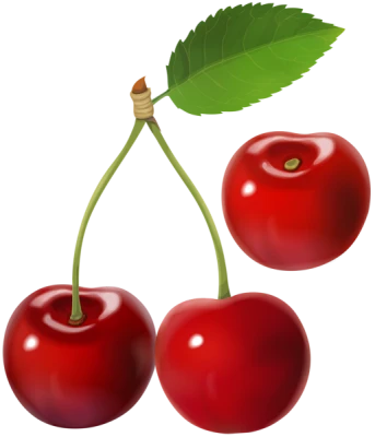 Cherry PNG Transparent