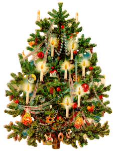 Christmas Tree PNG Transparent