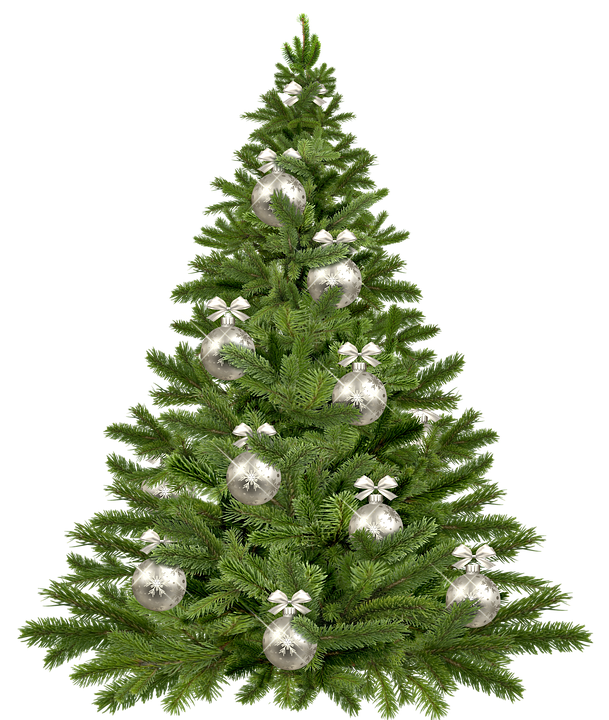 Christmas Tree PNG Transparent