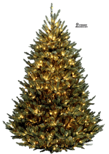 Christmas Tree PNG Transparent