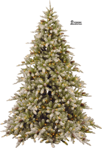 Christmas Tree PNG Transparent