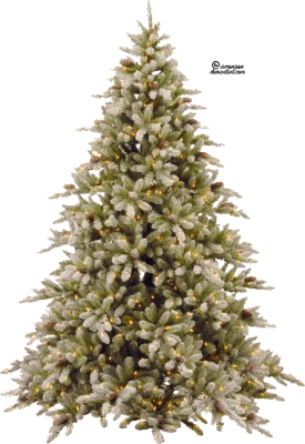 Christmas Tree PNG Transparent
