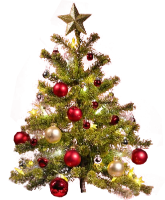 Christmas Tree PNG Transparent