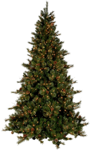 Christmas Tree PNG Transparent