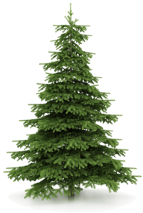 Decorated Christmas Tree PNG Download
