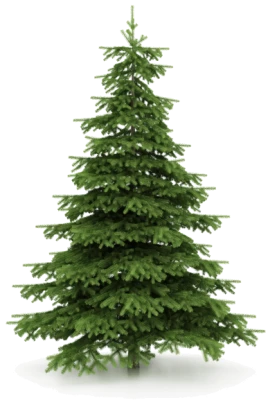 Decorated Christmas Tree PNG Download