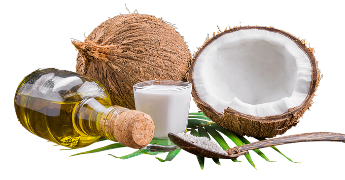 Coconut PNG Transparent Image