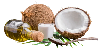Coconut PNG Transparent Image
