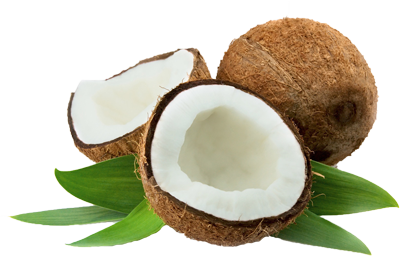 Coconut PNG Transparent Image
