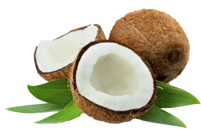 Coconut PNG Transparent Image