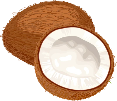 Coconut PNG Transparent Image