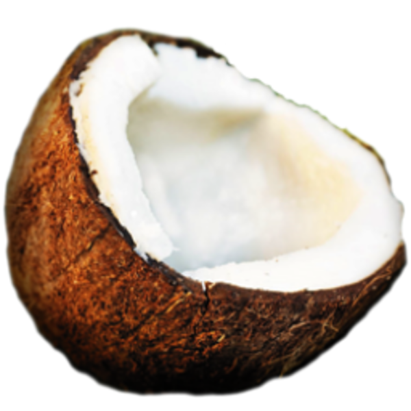 Coconut PNG Transparent Image