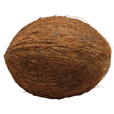Coconut PNG Transparent Image