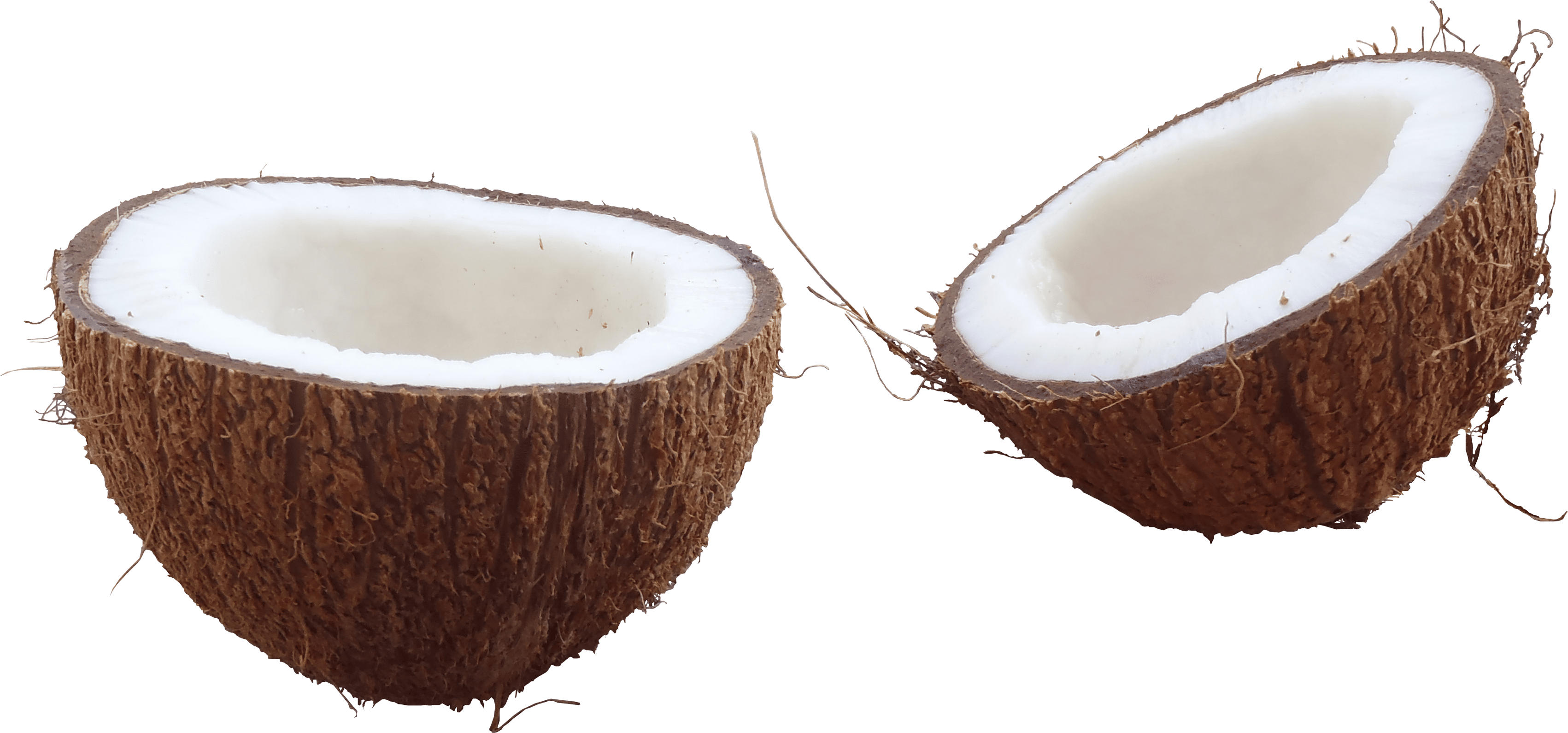 Coconut PNG Transparent Image