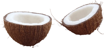 Coconut PNG Transparent Image