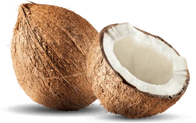 Coconut PNG Transparent Image