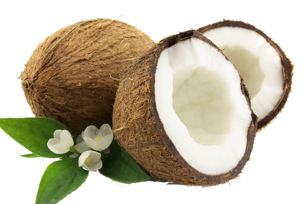Coconut PNG Transparent Image