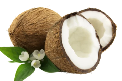 Coconut PNG Transparent Image