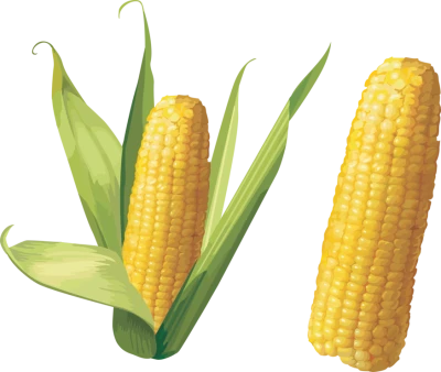 Corn Transparent PNG