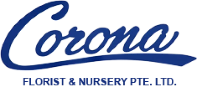 Corona Logo Transparent PNG
