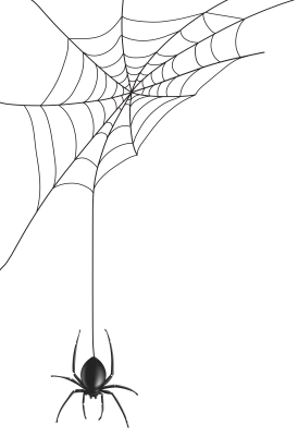 Spider web for Halloween. Halloween cobweb, frames and borders, scary elements for decoration
