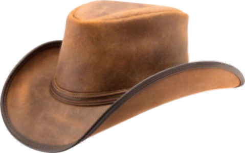 Cowboy Hat Transparent PNG