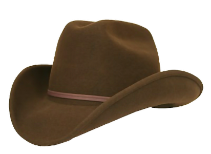 Cowboy Hat Transparent PNG