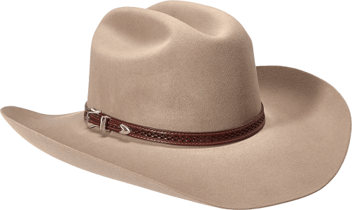 Western Cowboy Hat Image PNG