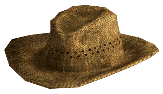 Western Cowboy Hat Image PNG