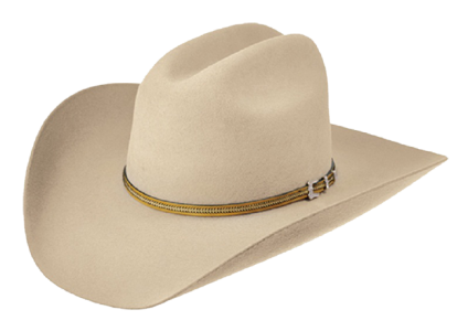 Western Cowboy Hat Image PNG