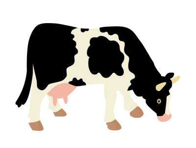 Farm Cow Image PNG