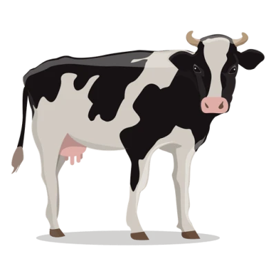 Farm Cow Image PNG