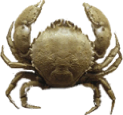 Crab Transparent PNG