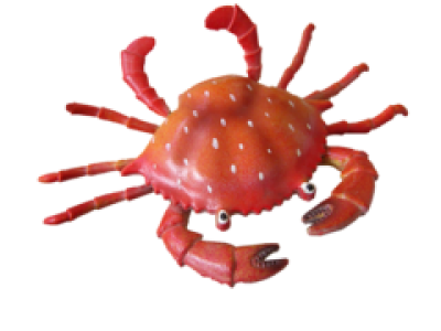 Red Crab Image PNG