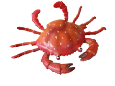 Red Crab Image PNG