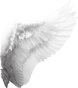 Wing Png