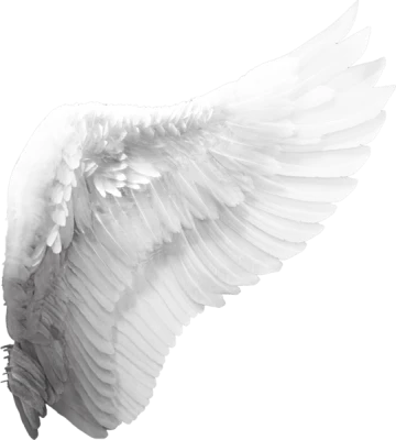 Wing Png
