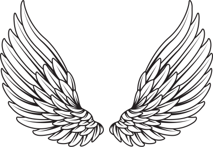 Wing Png