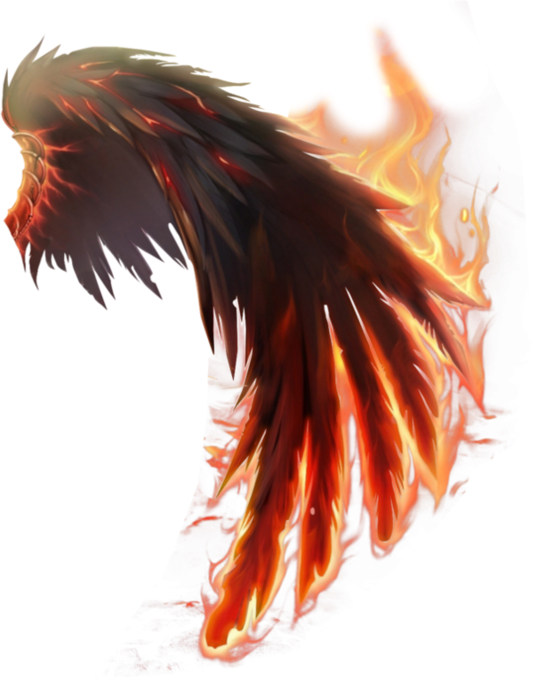 PNG WING