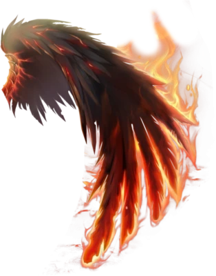 PNG WING