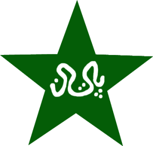 Cricket Emblem Image PNG 8