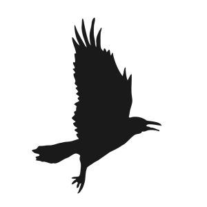 Crow Clipart Transparent PNG