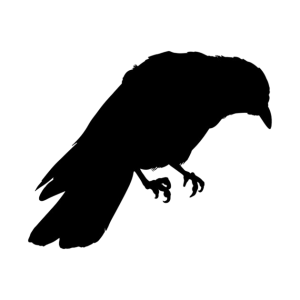 Crow Clipart Transparent PNG
