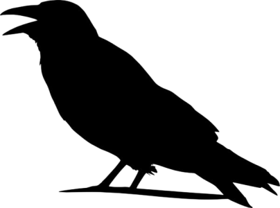 Crow Clipart Transparent PNG
