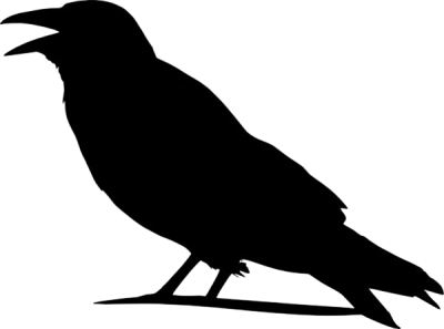 Crow Clipart Transparent PNG