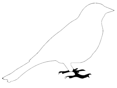 Black Crow Cartoon Clipart PNG
