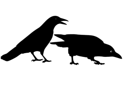 Black Crow Cartoon Clipart PNG