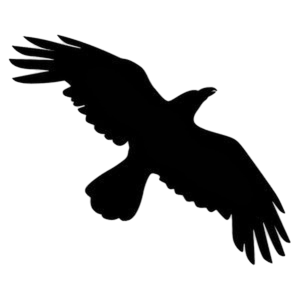 Black Crow Cartoon Clipart PNG