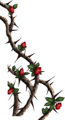 Crown of Thorns Transparent PNG